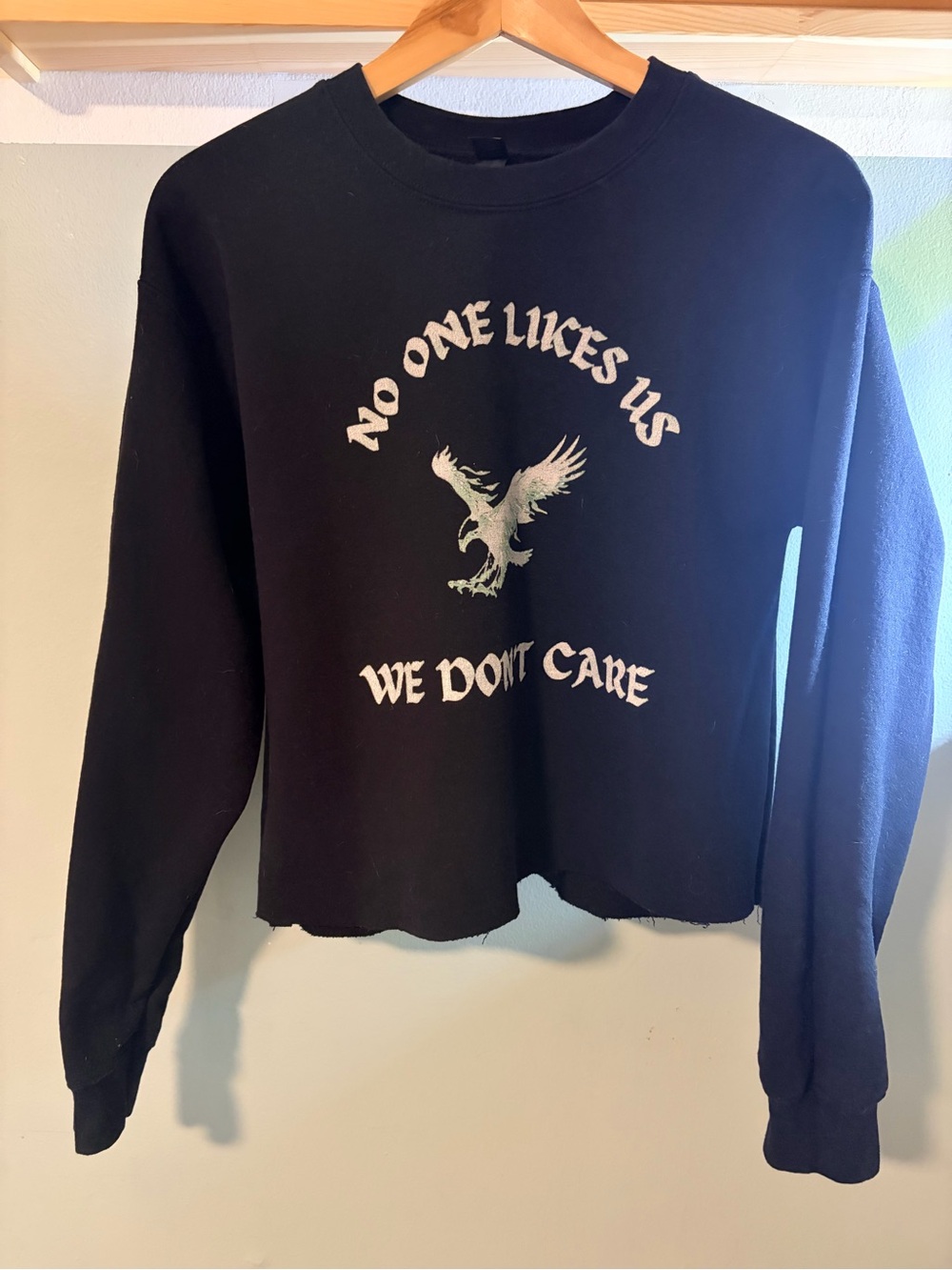 Philadelphia Eagles "No One Likes Us We Don’t Care” Cropped Gilden Sweatshirt - Picture 2 of 3